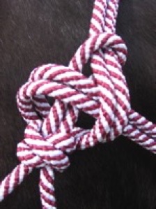 rope halter, tie off, latch knot
